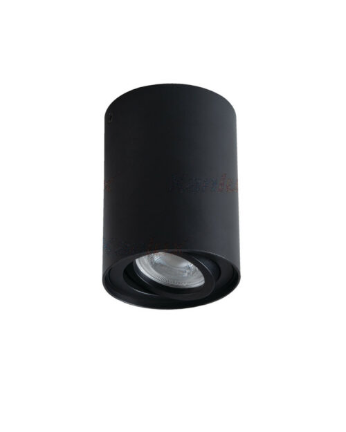 Точковий світильник Kanlux Bord GU10 1x10W IP20