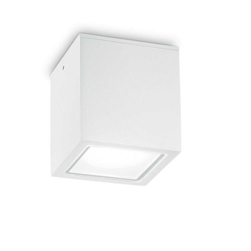 Вуличний світильник Ideal Lux Techo