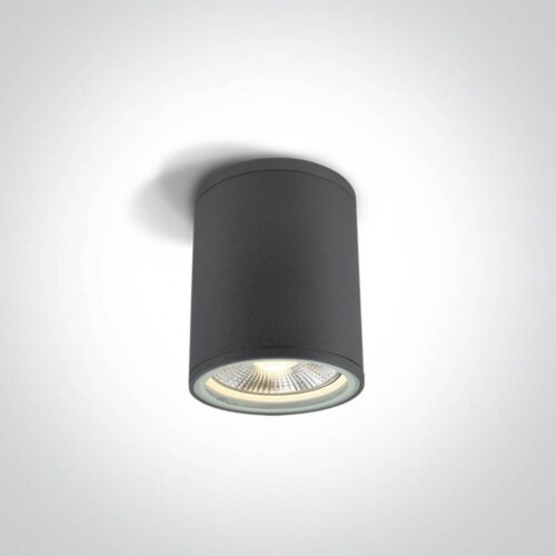 Точковий світильник ONE Light PAR30 Outdoor Cylinders Die cast